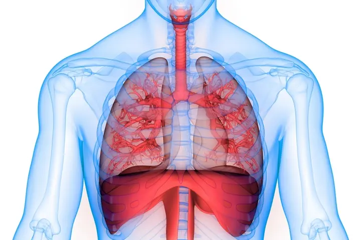 Anatomy20of20 Breathing resized