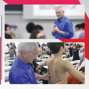 筋膜のネットワーク