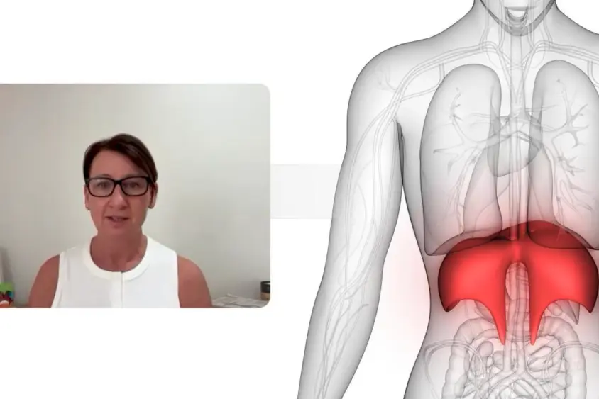 Dissection_Online_Diaphragm_News