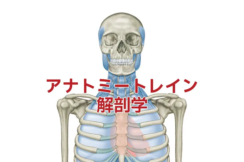 Dissection_2025_image_news