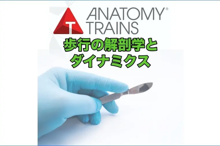 Dissection_Gait_Livestream_News