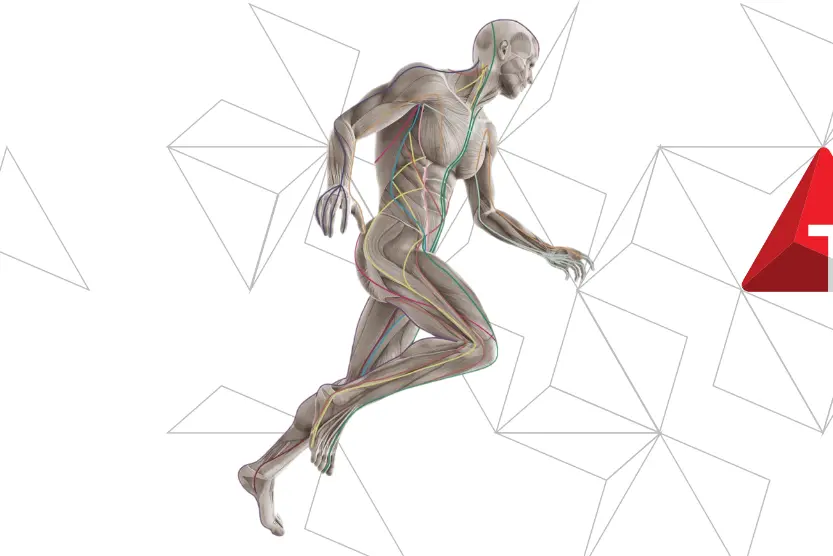 AT_Human_Logo