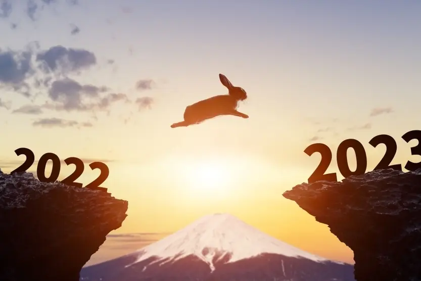 New_Year_Rabbit_Jump