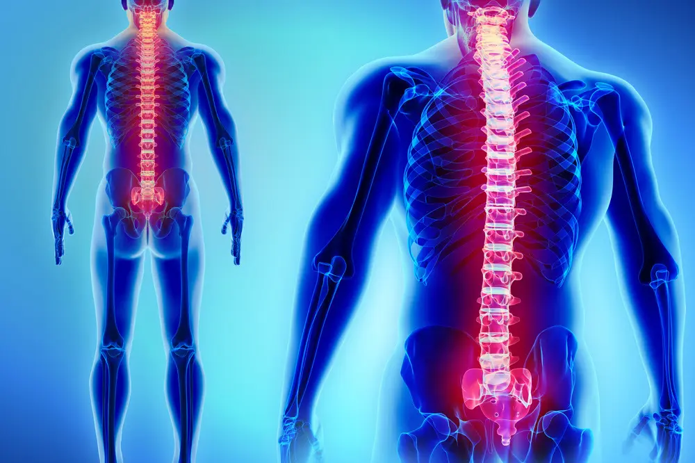 AT_Dissection_Spinal_Dynamics_Livestream_News