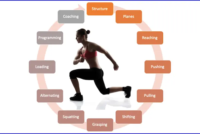 MM_Movepro_video_news_0