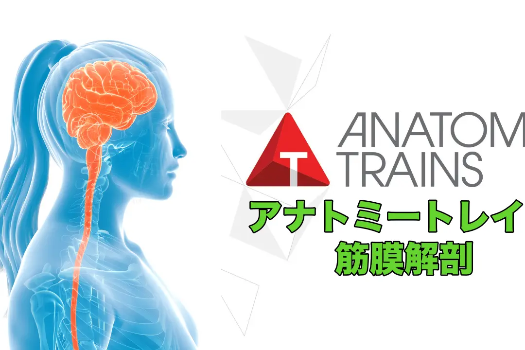 FB_CNS_Banner_2