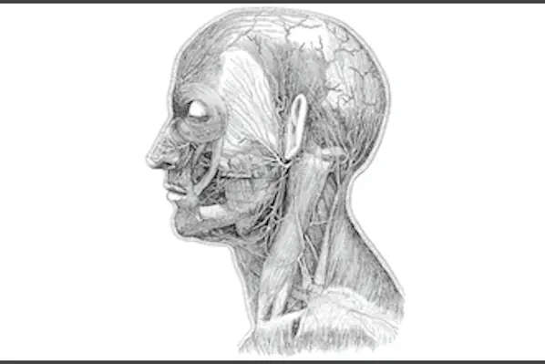 Dissection_Head_Neck_news_0