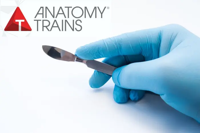 dissection_news