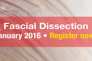 ATdissection-2016