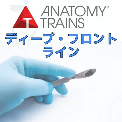 アナトミートレイン®解剖学：ディープ・フロント・ライン 8/15&16