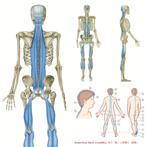 1_SBL_Japanese_Spot2