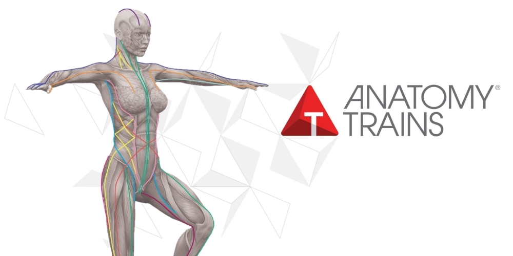 ATストラクチャー&ファンクション:レクチャービデオ