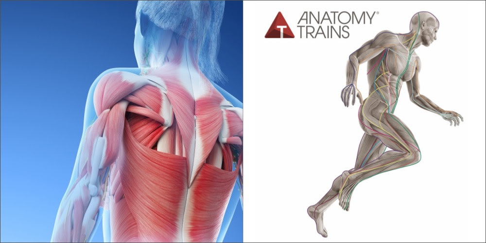 AT_HandsOn_2023_News