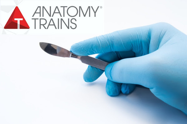 AT_dissection_livestream_news