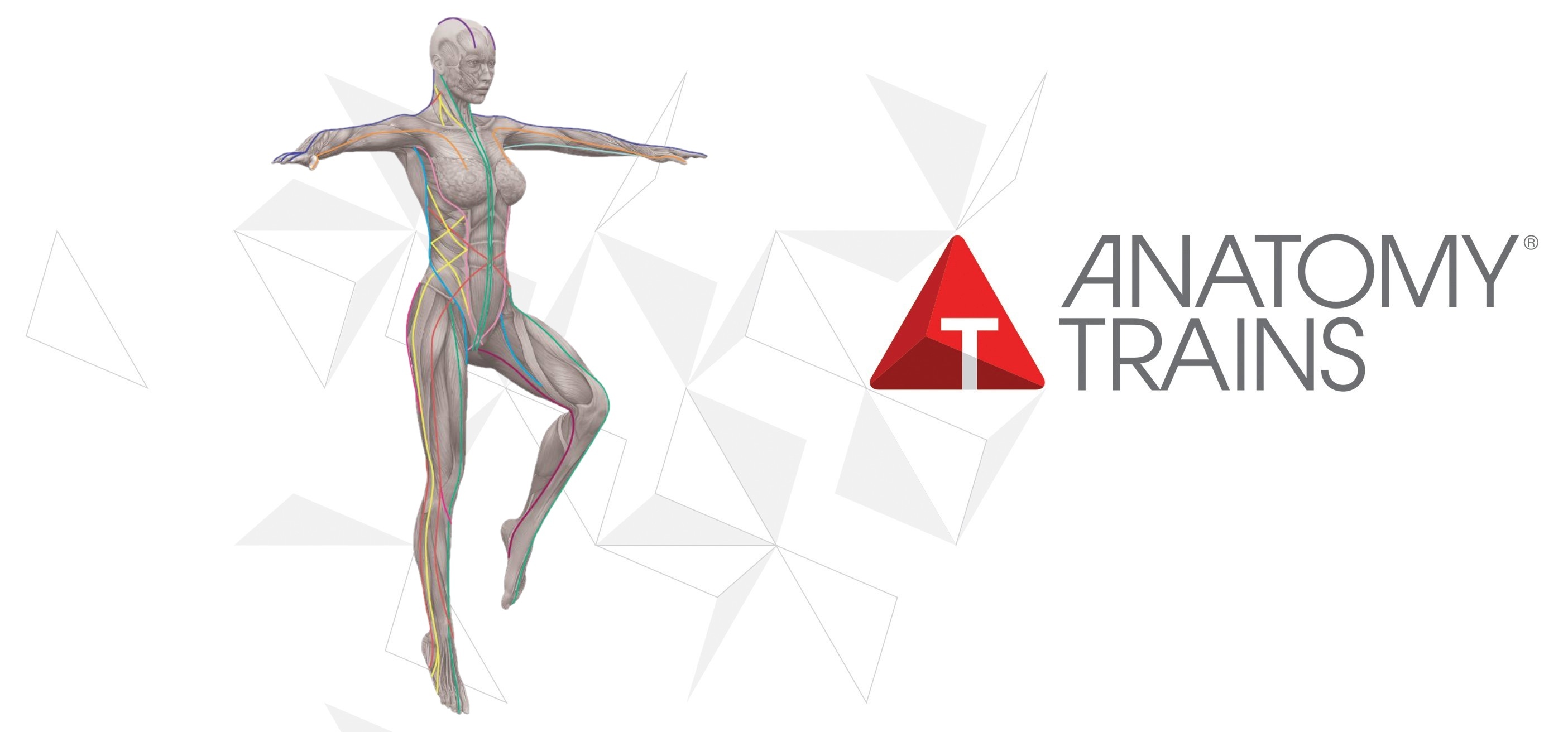 AT_form_female_logo_hex_large_banner