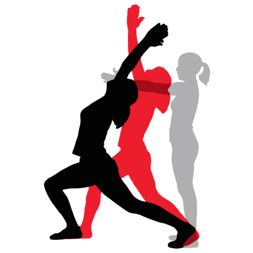 3 DMAPS Figure Carousel