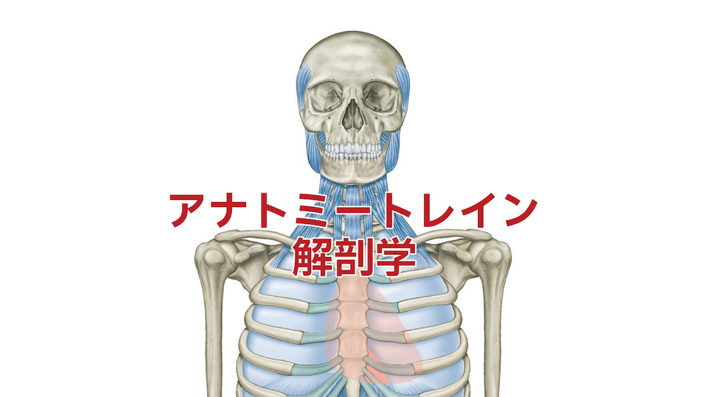 Dissection_2025_image_news