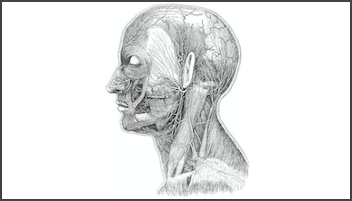 Dissection_Head_Neck_news_0