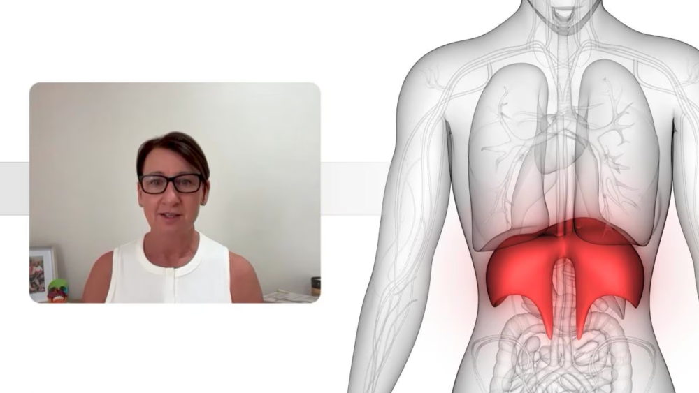 Dissection_Online_Diaphragm_News