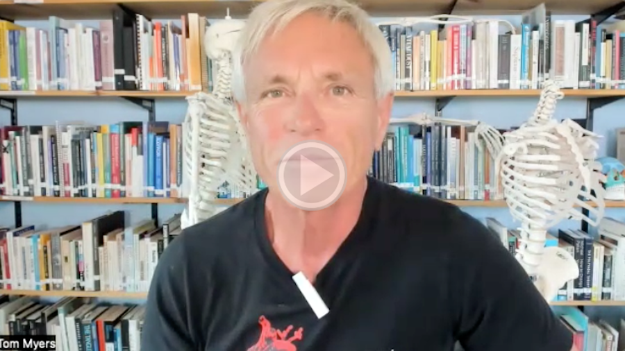 Dissection_Spine_Dynamics_News