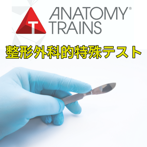 アナトミートレイン®解剖学：整形外科的特殊テスト 12/13&14