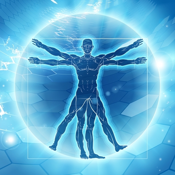 CAFS vitruvian carousel