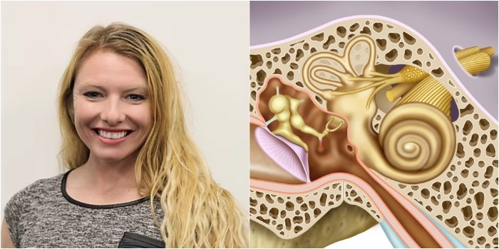 KD_Vestibular_Banner_700_0