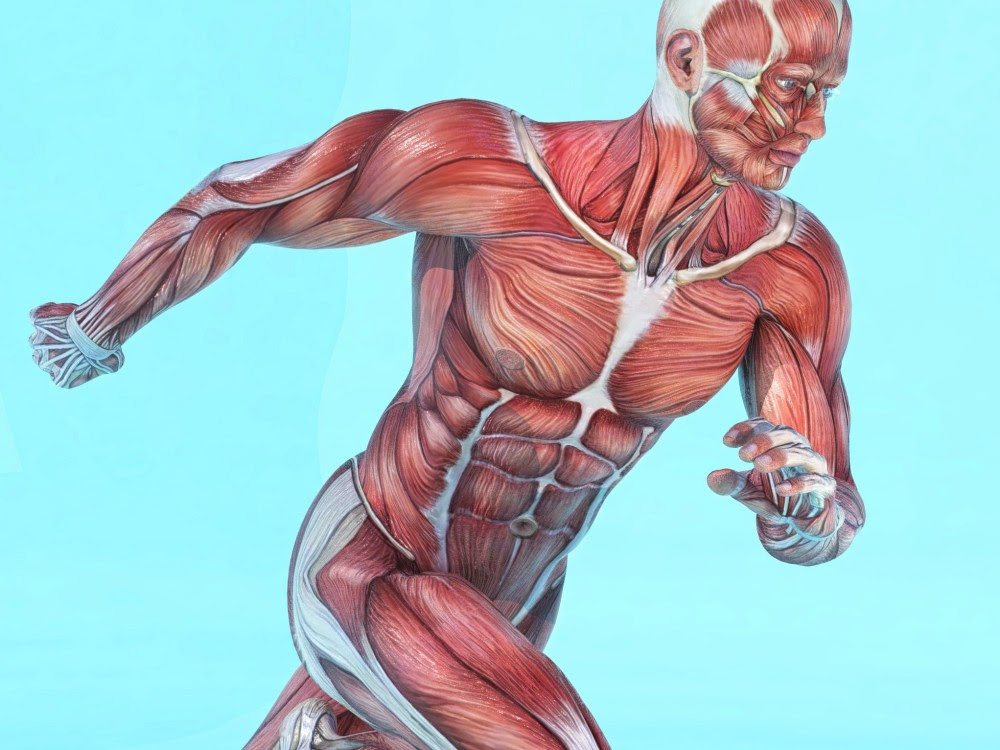 Kathy_Vleeming_Movepro_News