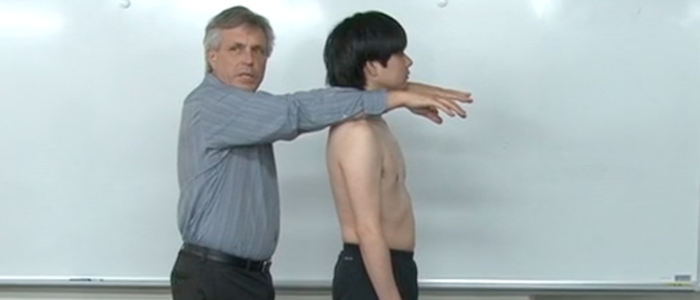 「ボディーリーディングと筋筋膜のフィットネス」&「背骨のバランスと腰部の安定」