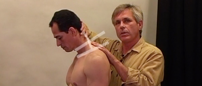 ボディリーディング101