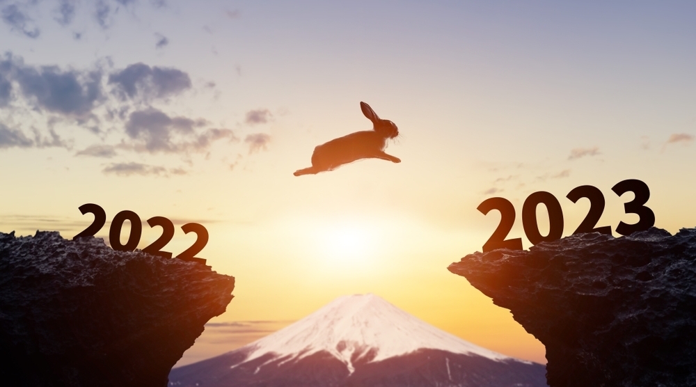 New_Year_Rabbit_Jump