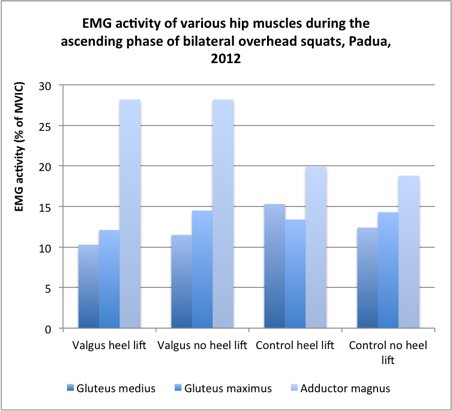 SC-Padua-hip-muscles