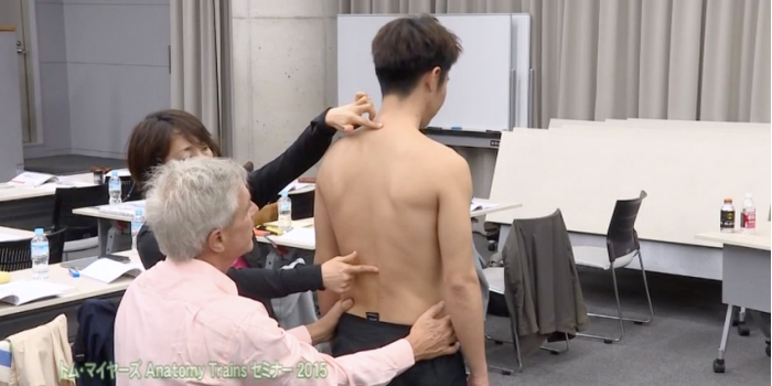 背骨のテンセグリティー