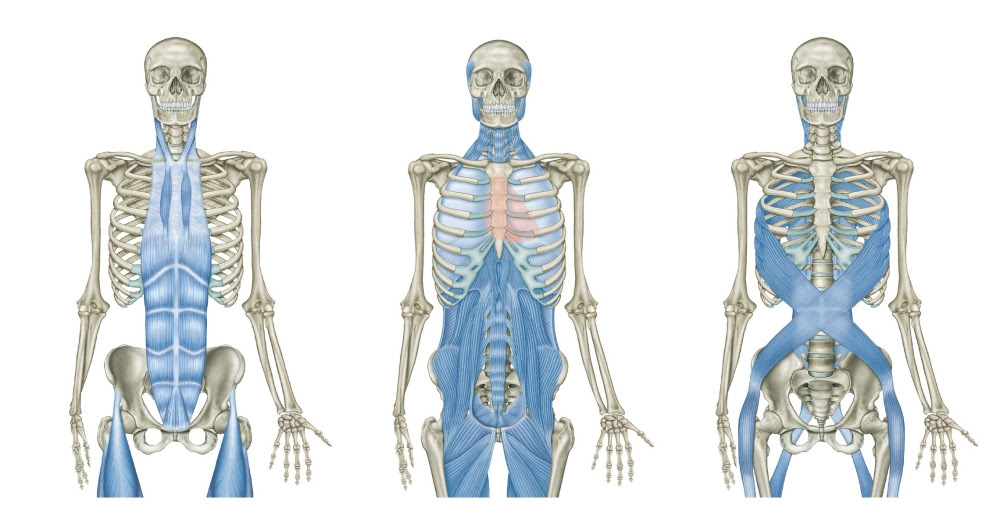 Tom_QandA_Event_News