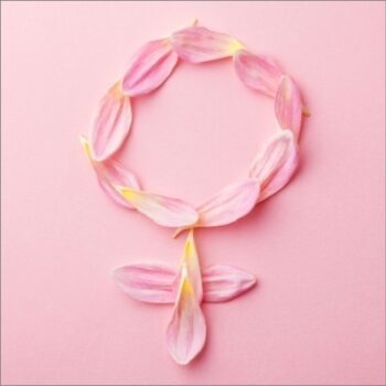 アナトミーエンジェル：更年期を理解する