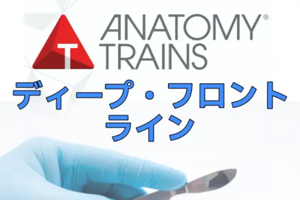 アナトミートレイン®解剖学：ディープ・フロント・ライン 8/15&16