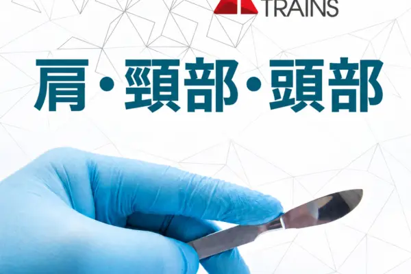 アナトミートレイン®解剖学：肩・頸部・頭部 11/07&08