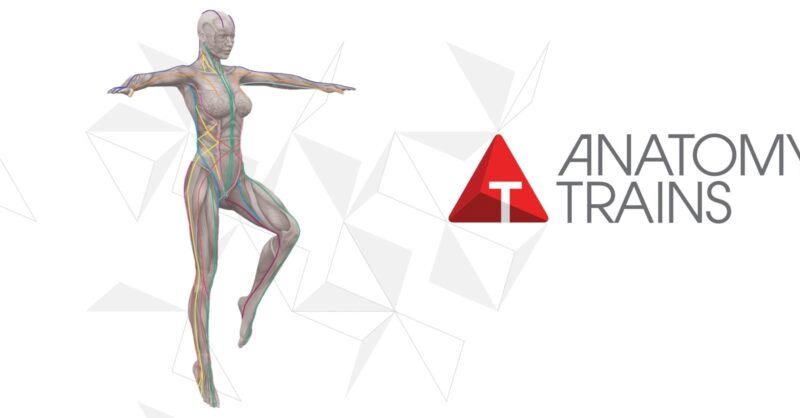 アナトミートレイン®の手技をトム・マイヤーズから直接学ぶ | Kinetikos