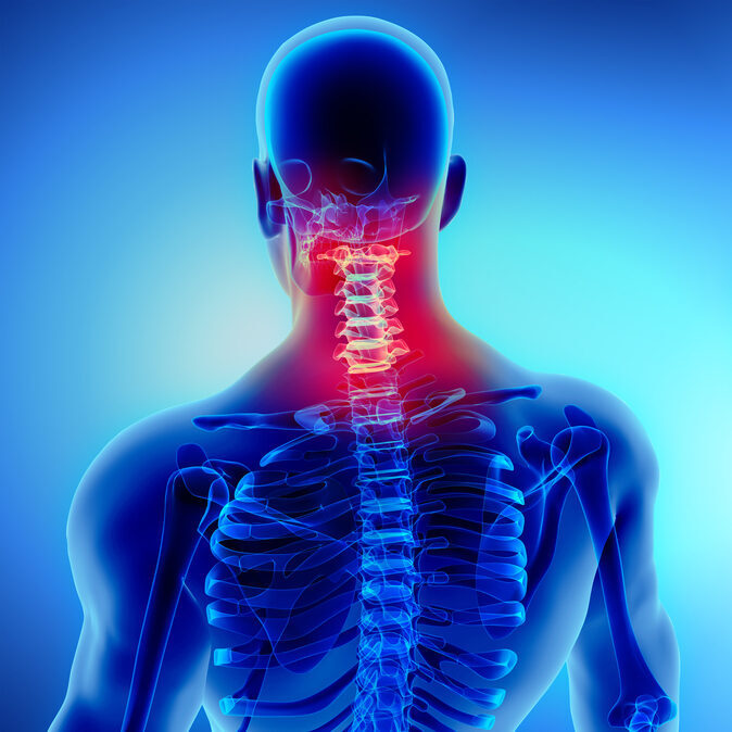 Sue Falsone Cervical-Thoracic